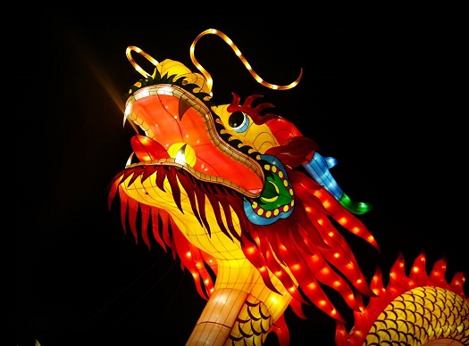 Dragon at Chinese Lantern Fest