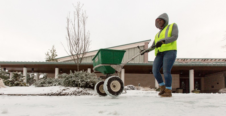 Town Employee Spreading Salt on Sidewalk