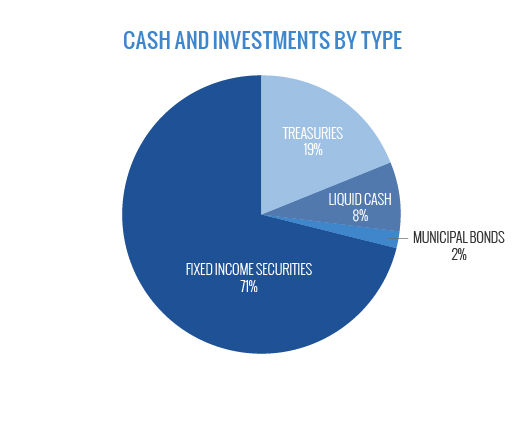 Cash and Investments by Type