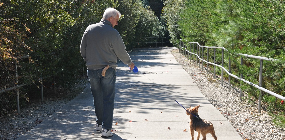 Man Walking Dog on Greenway