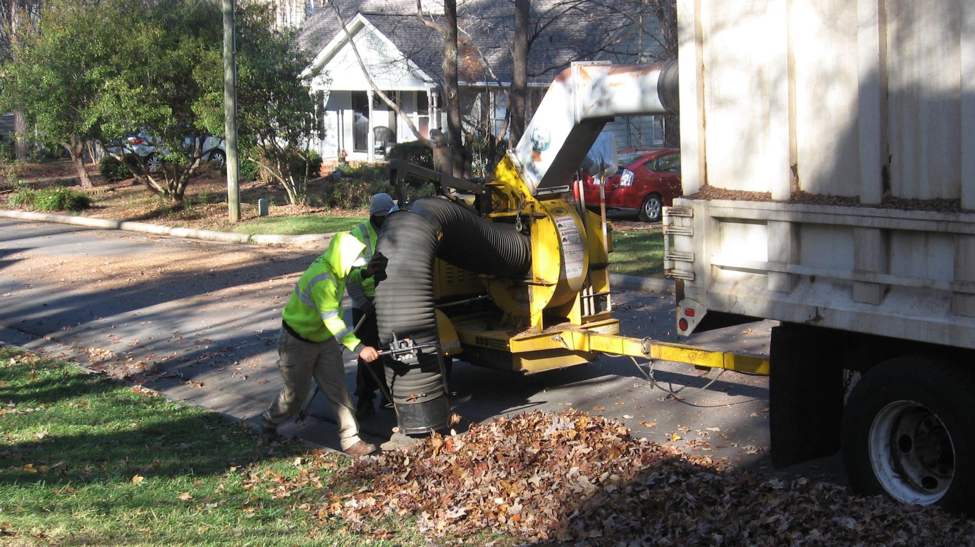 Leaf Collection - Machine