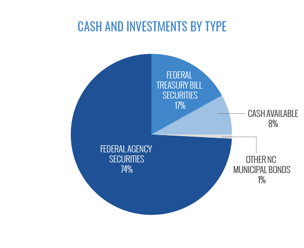 Cash and Investments by Type