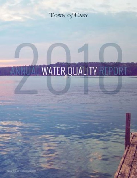 Water quality report cover