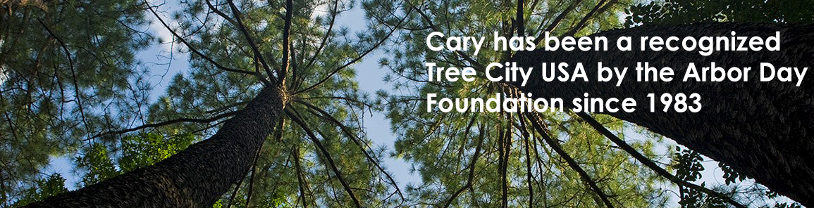 Cary has been recognized Tree City USA by the Arbor Day Foundation for over 35 years