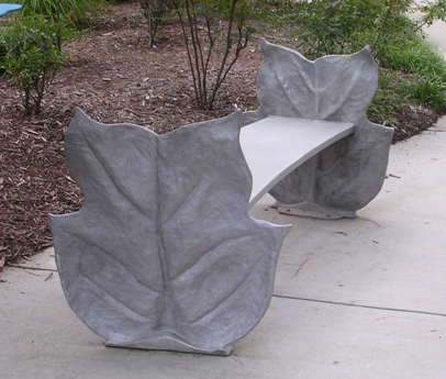 tulip poplar bench