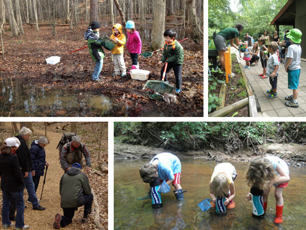 Nature Programs Collage