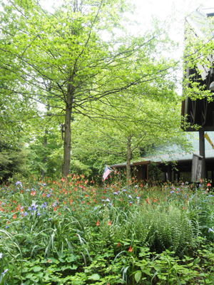 Courtyard In Bloom