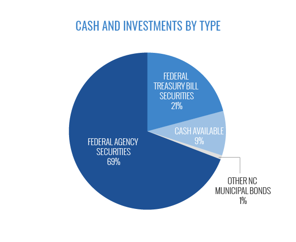 Cash and Investments by Type