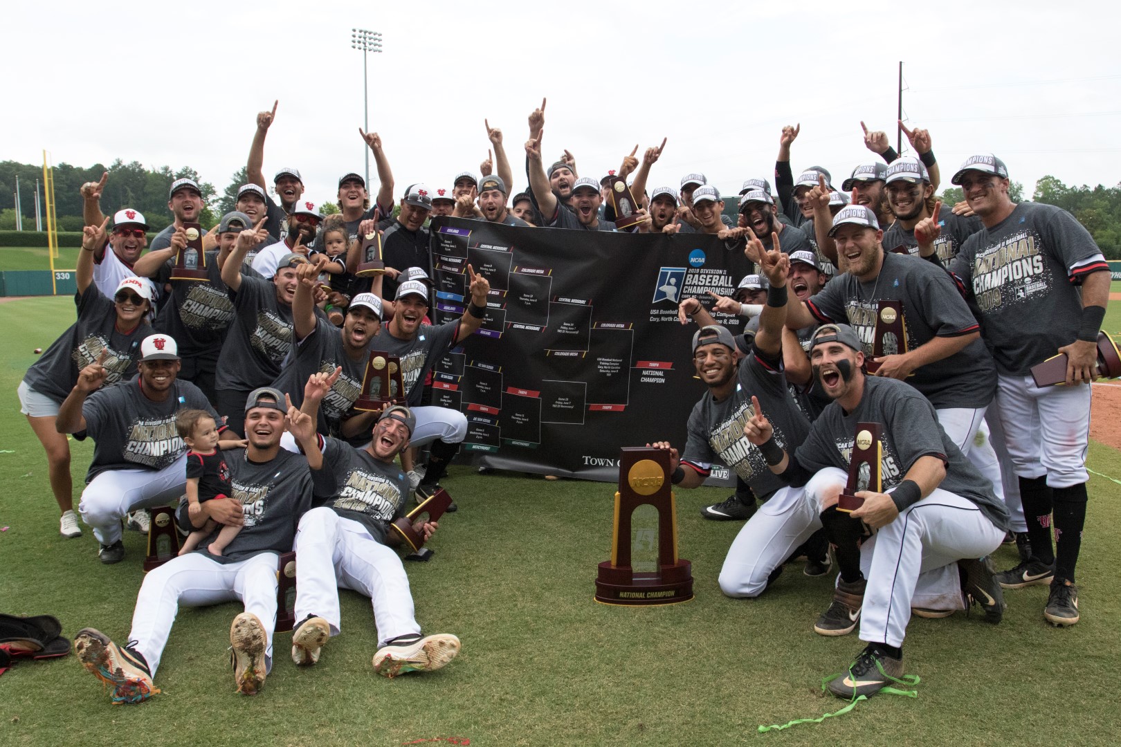 2019 D2 baseball champions