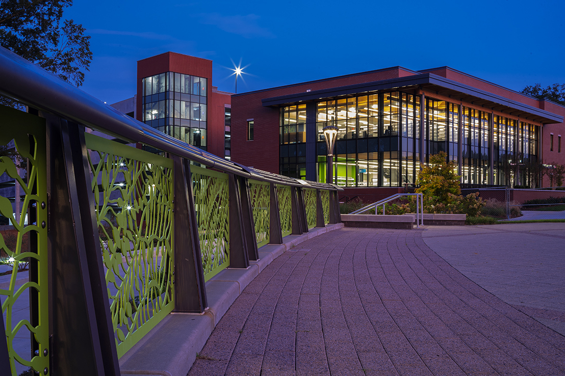 library at night