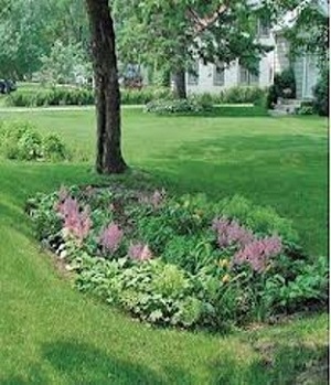 Rain Garden