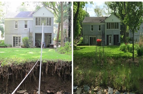 Riparian Buffer Before and After comparison