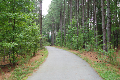 Bishops Gate Greenway