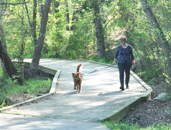 Green Hope Greenway