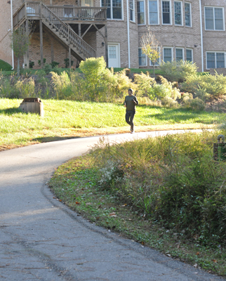 Reedy Creek Greenway Photo