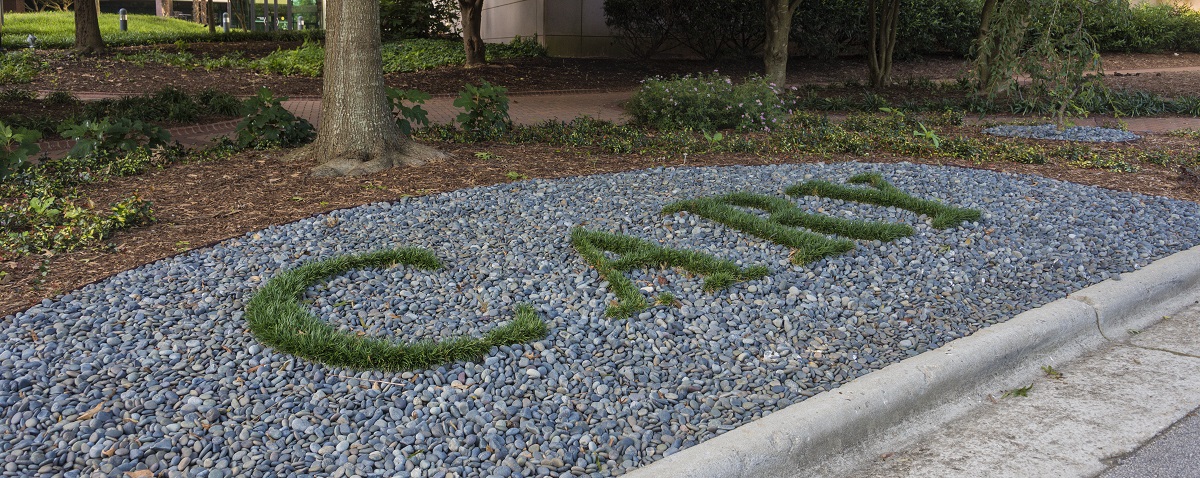 Rock bed with Cary spelled out by green plants