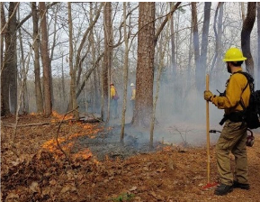 Firefighter conducting controlled burn at Hemlock Bluffs