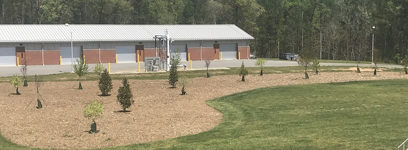 Tree Plantings on exterior of building.