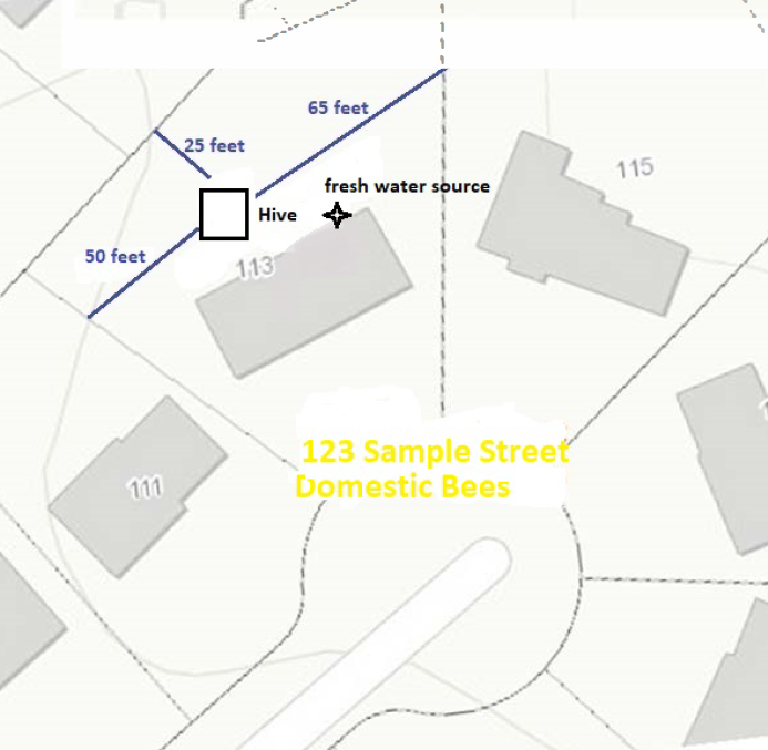 Bee Plot Plan