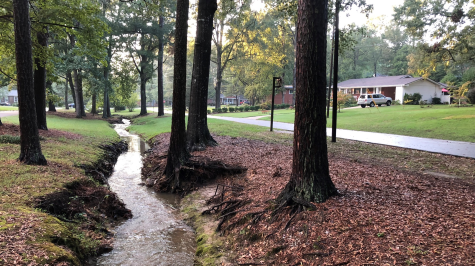 Urban Park Creek.475px