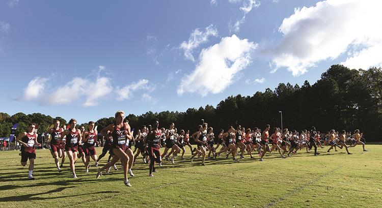 ACC Cross Country and Soccer