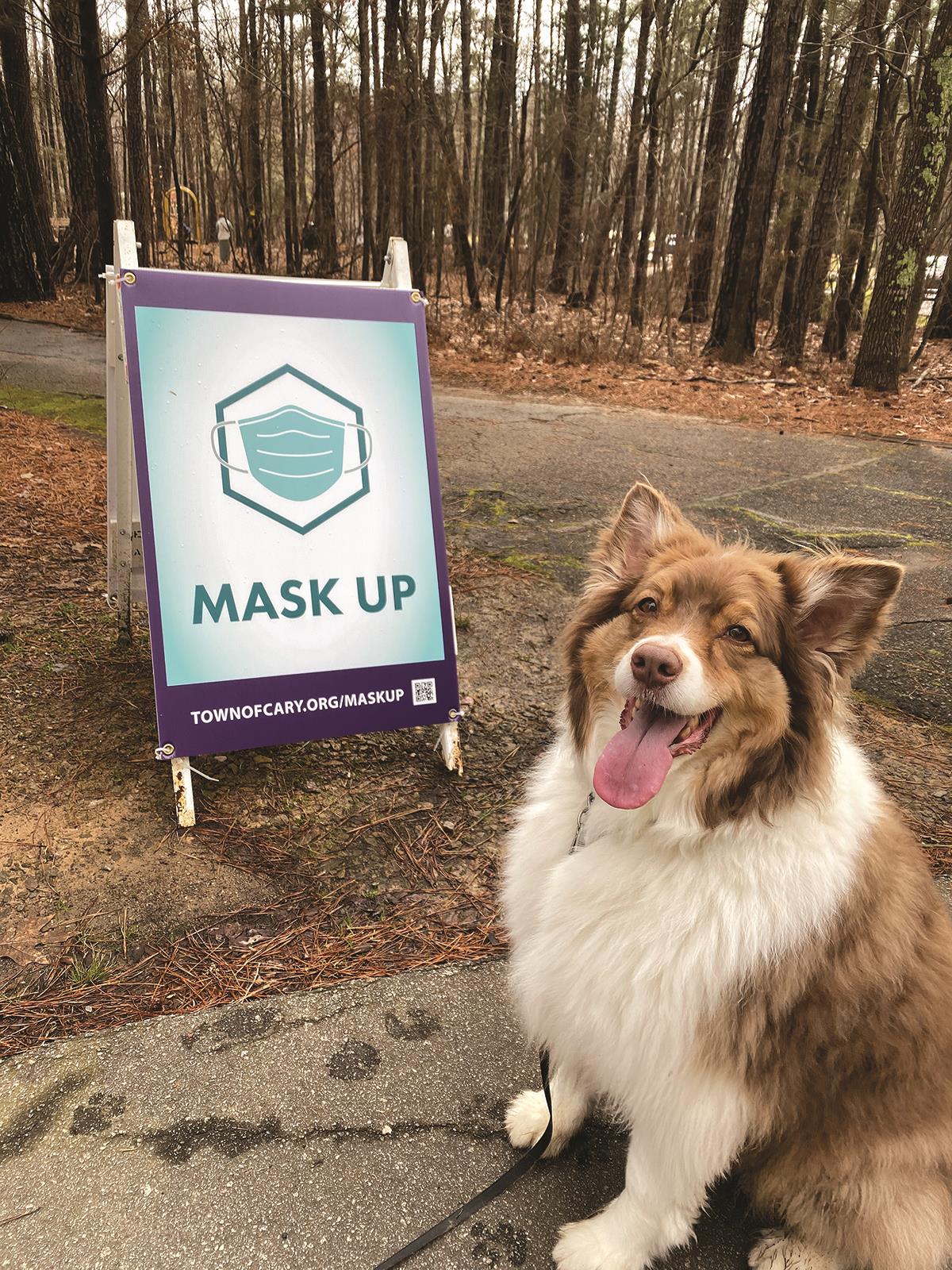 Mask Up Sign with Dog on Greenway