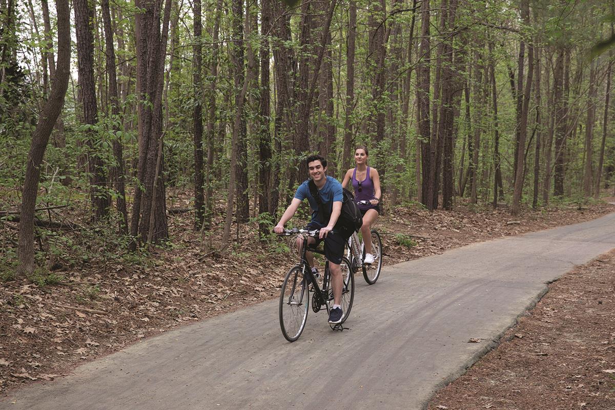 Bicycle riders