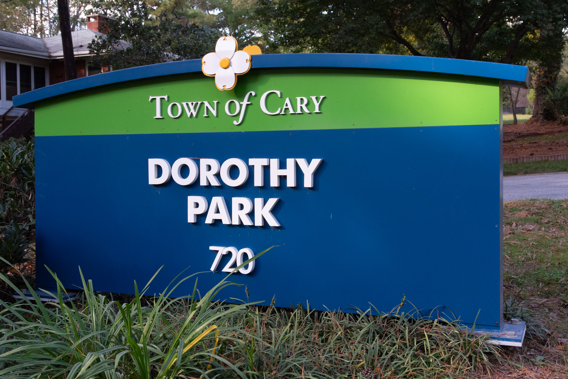 dorothy-park-5808