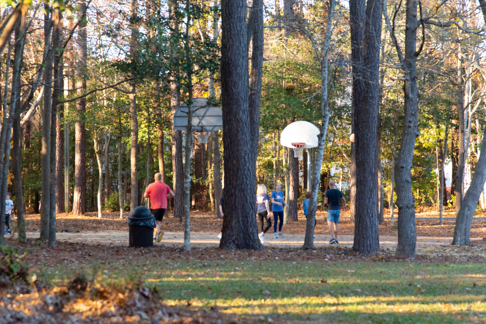 harold-ritter-park-14-8459