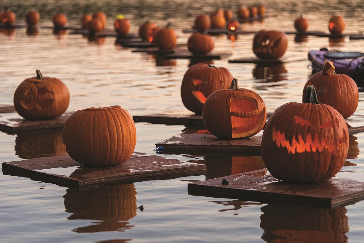 pumpkin flotilla