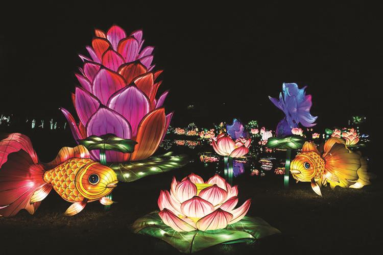 Chinese Lantern Festival