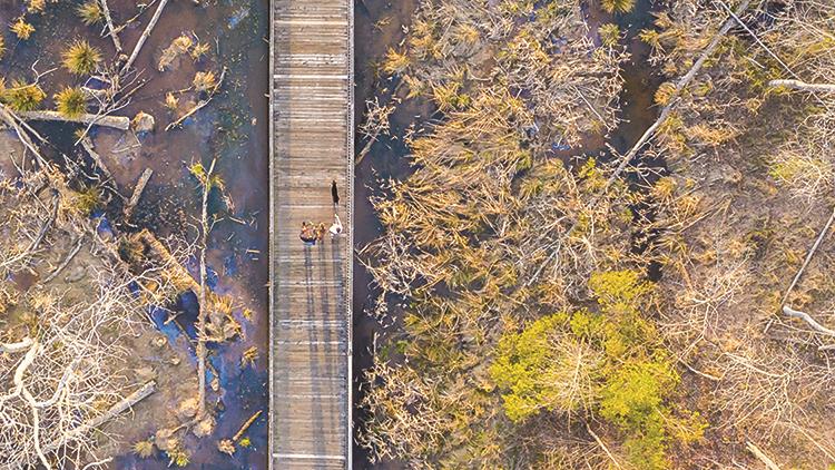 White Oak Creek Greenway