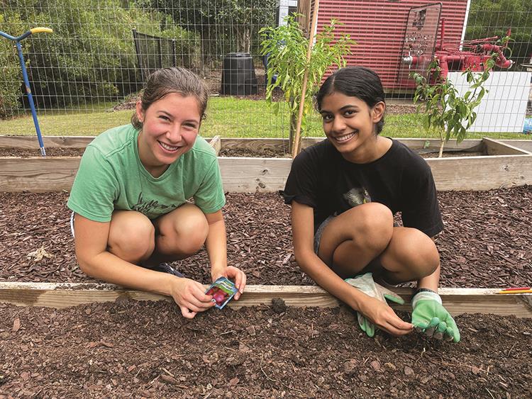 Community Gardening