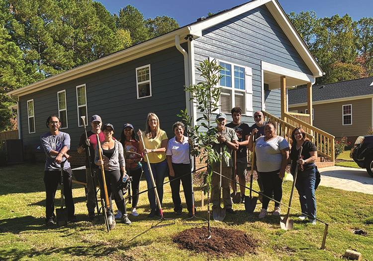 Tree Planting