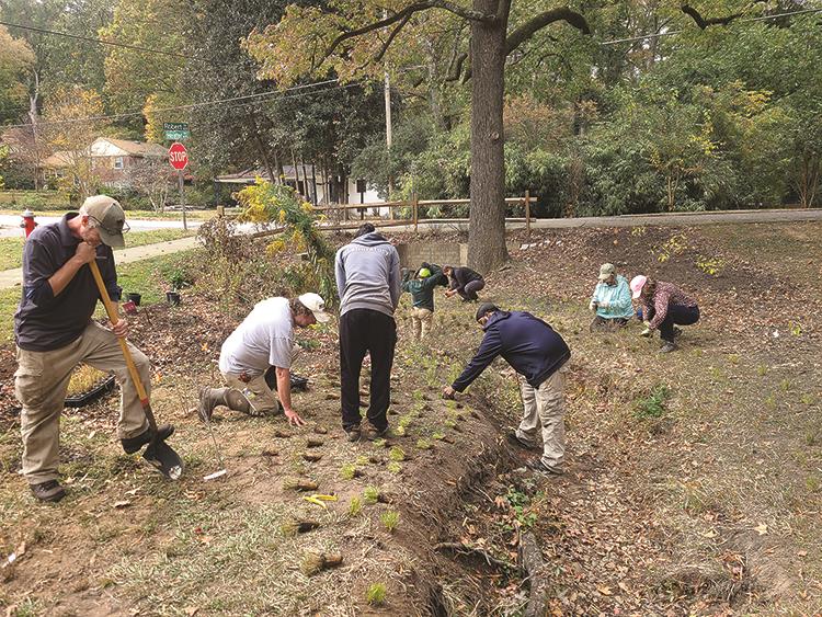 Planting