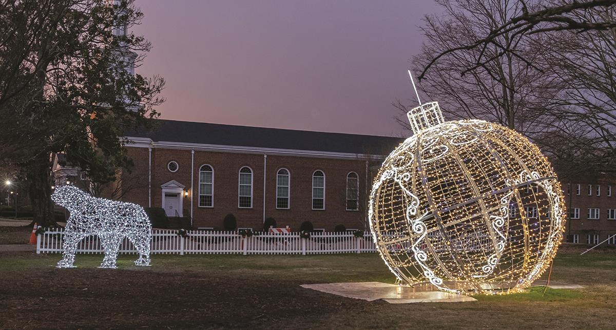 Downtown Decorations