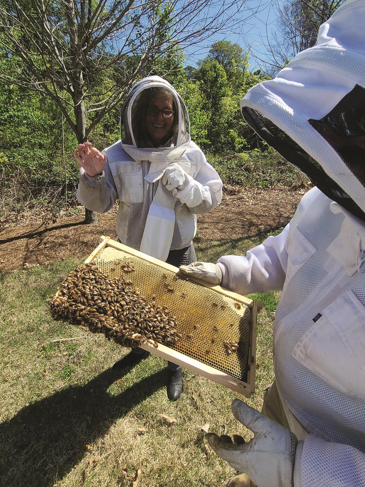 Beehives at fire station