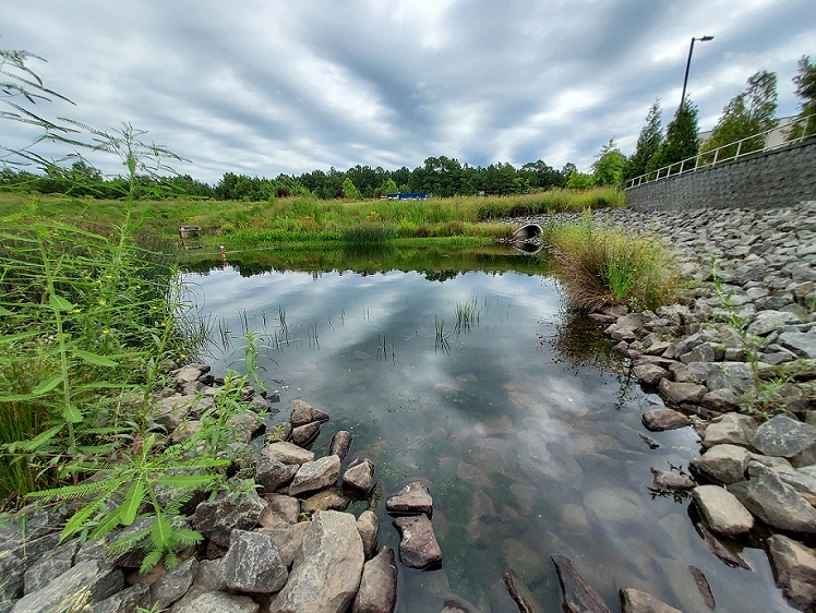 Stormwater wetland