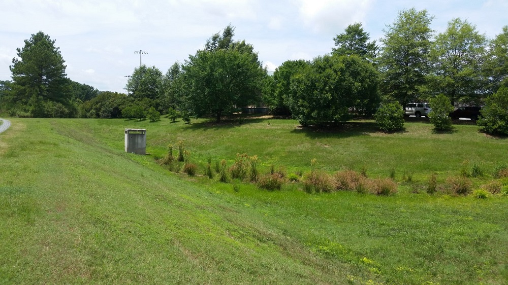 Davis Drive Dry Pond