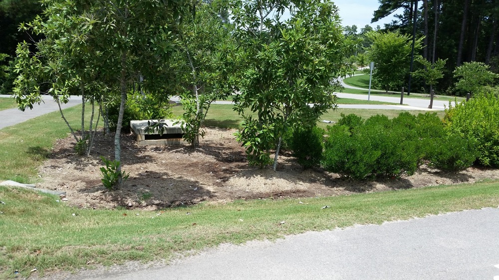 Jack Smith Bioretention