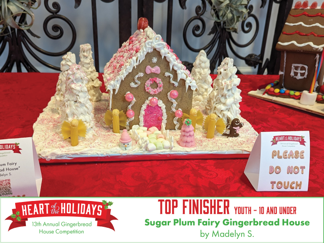 Top finisher in the youth 10 and under category. Sugar Plum Fairy Gingerbread House by Madelyn has a classic gingerbread house decorated in pink and surrounded by trees and fairies.