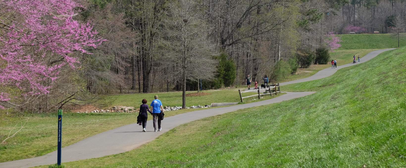 Groups Walking - Flowing Tree