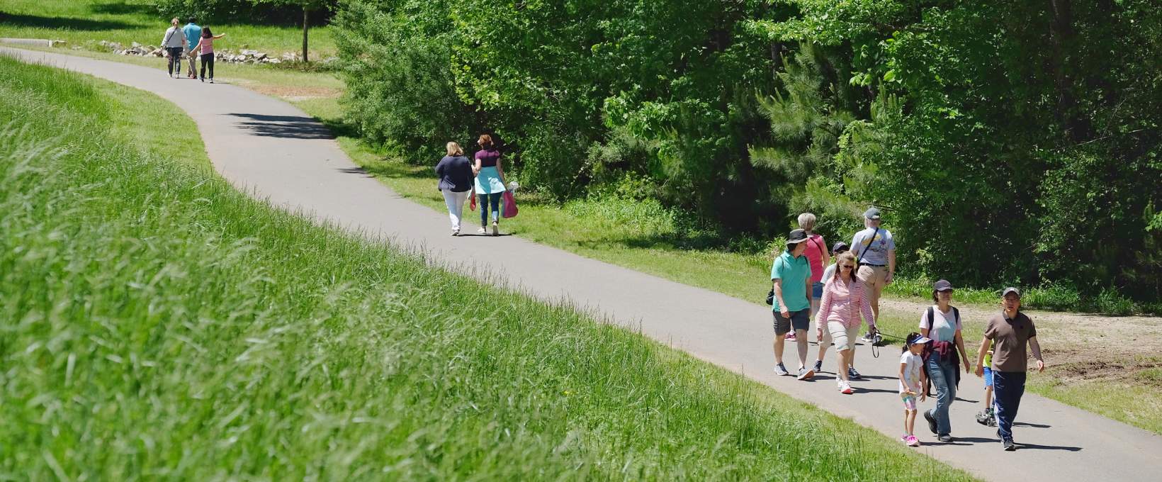 Groups Walking on Greenway