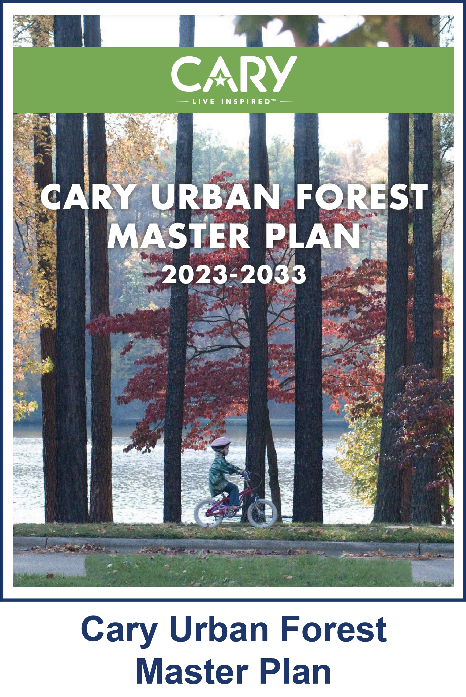 CarUrbanForestMasterPlan_2