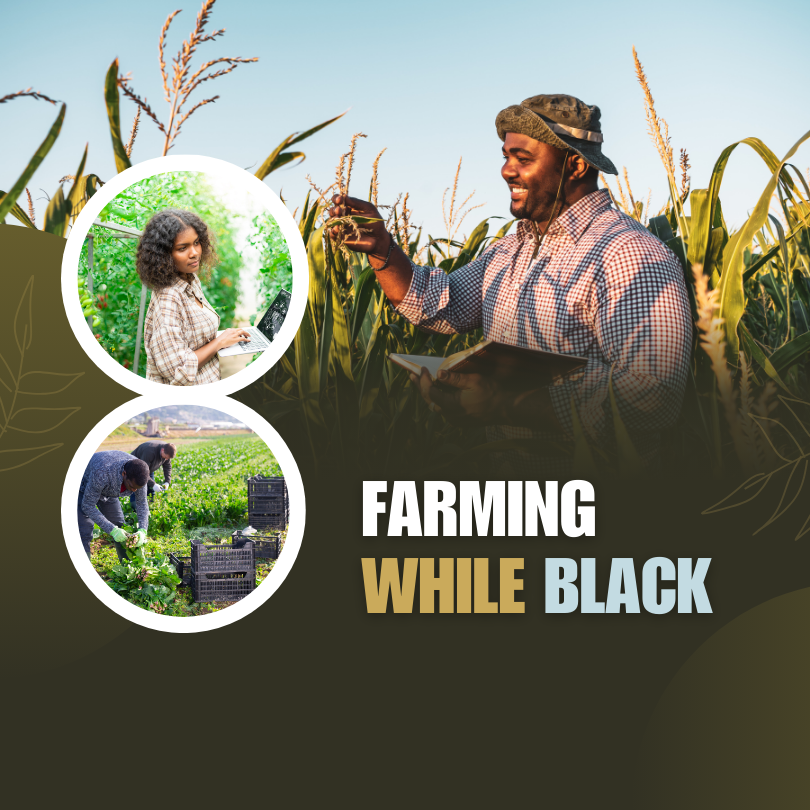 Black Farming