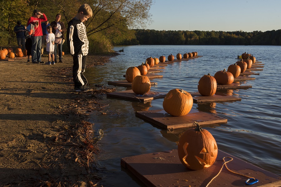 Pumpkin Flotilla