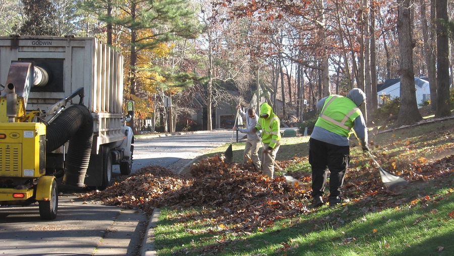 Public Works crew collecting leaves