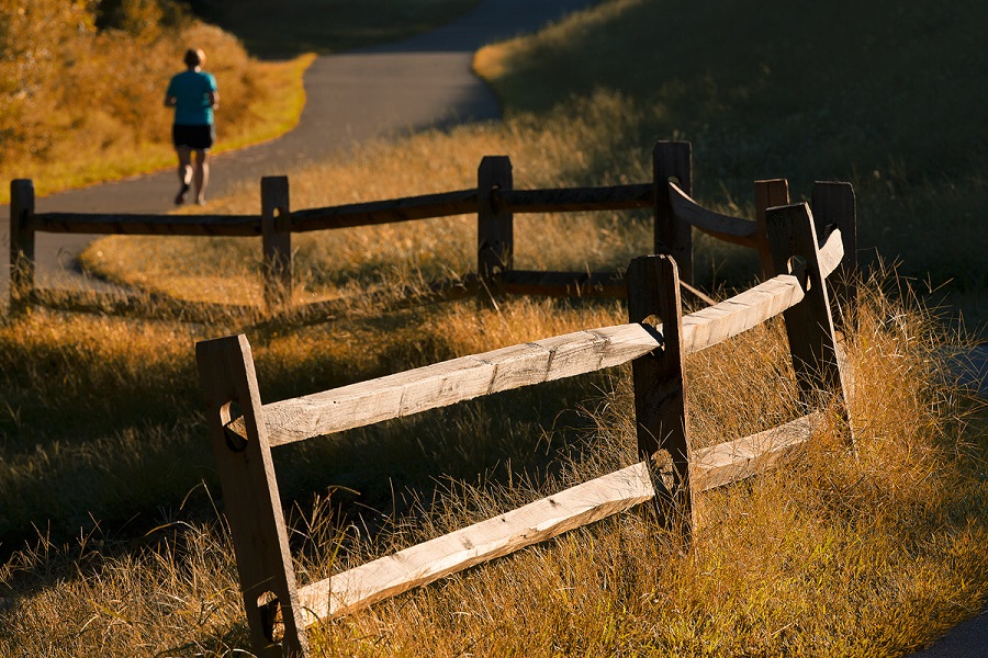 Fence along greenway